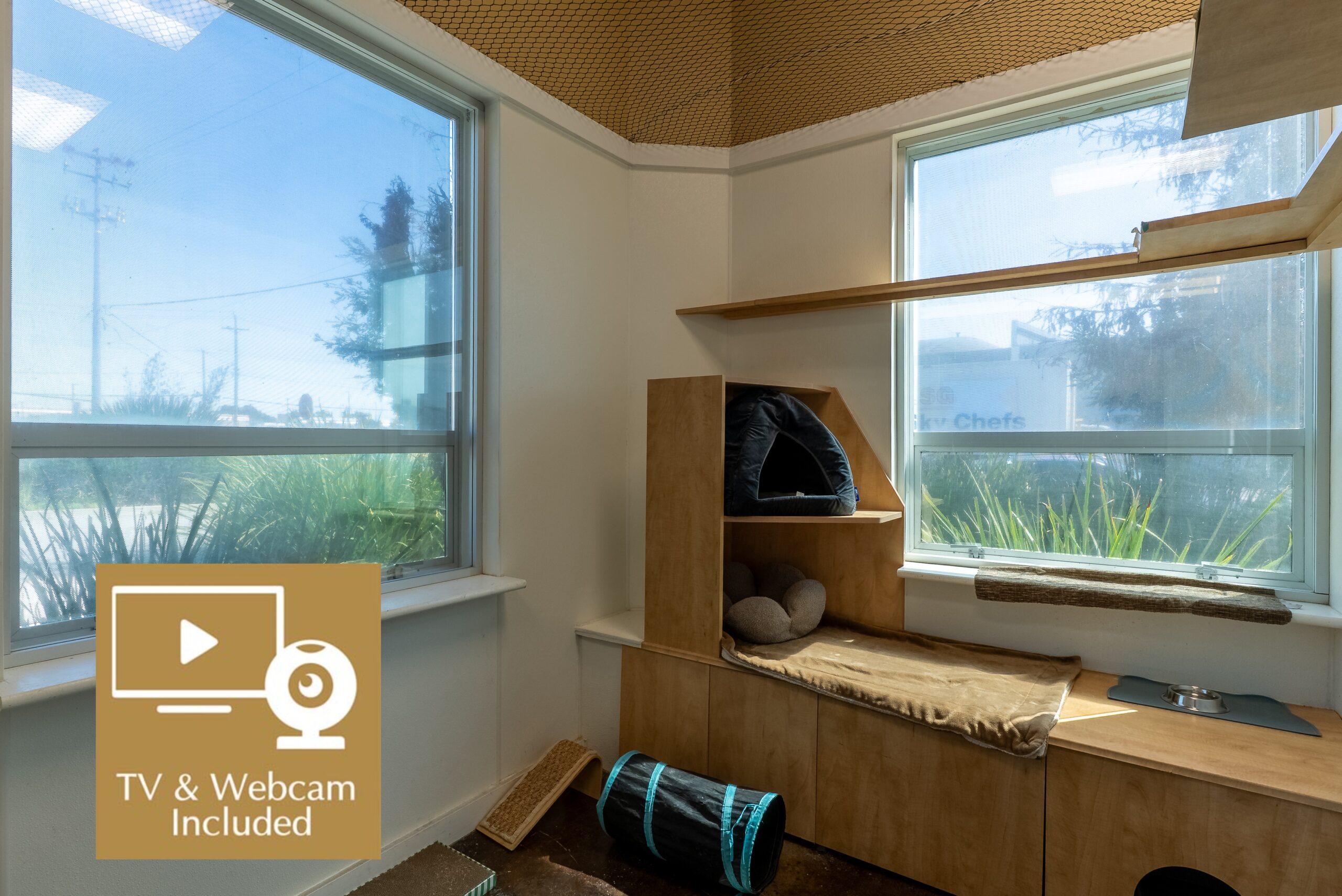 Luxury Suite W Camera Scaled